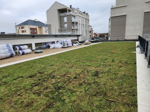 Végétalisation OSB St Fargeau