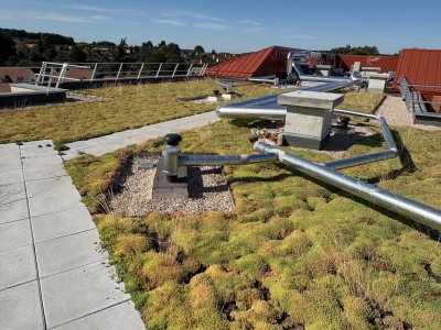 Végétalisation Rabot Ballancourt