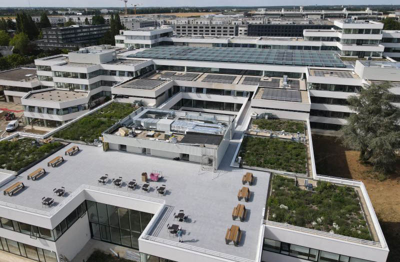 Toit terrasse végétalisé à l'école Supélec
